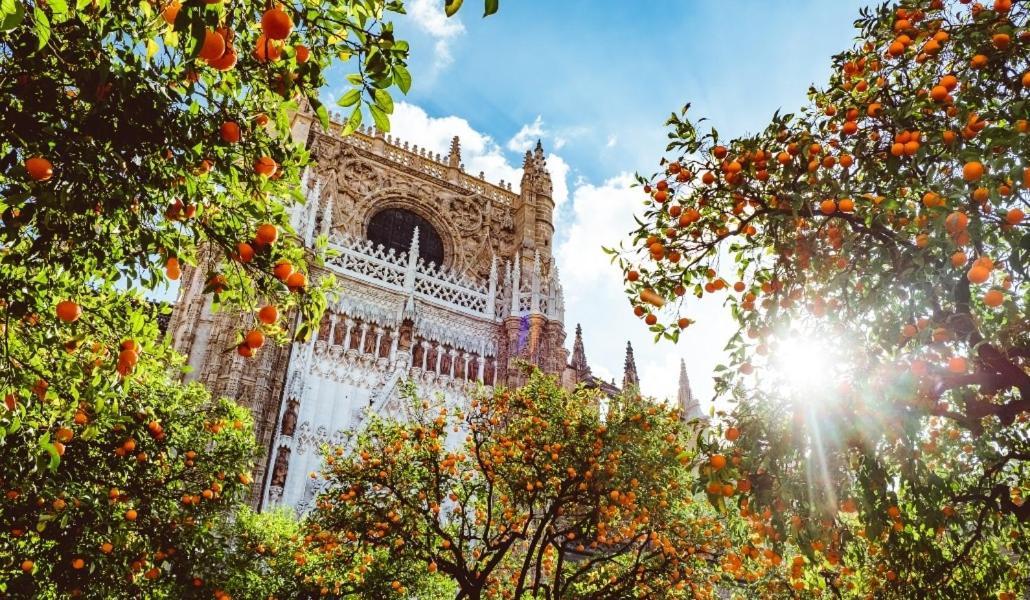 Epicenter II Nuevo Y Lujoso Apto Parking Gratis Perfecta Ubicacion Sevilla Eksteriør billede